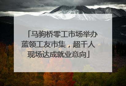 马驹桥零工市场举办蓝领工友市集，超千人现场达成就业意向