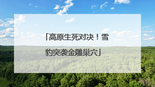 高原生死对决！雪豹突袭金雕巢穴