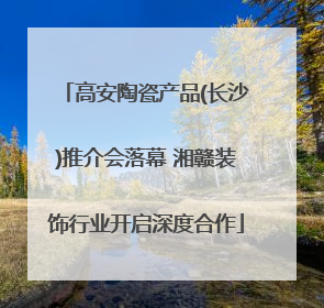 高安陶瓷产品(长沙)推介会落幕 湘赣装饰行业开启深度合作