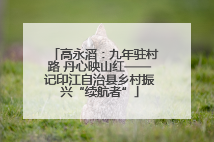 高永滔：九年驻村路 丹心映山红——记印江自治县乡村振兴“续航者”