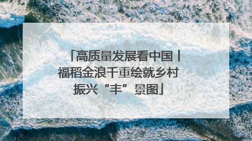 高质量发展看中国丨福稻金浪千重绘就乡村振兴“丰”景图
