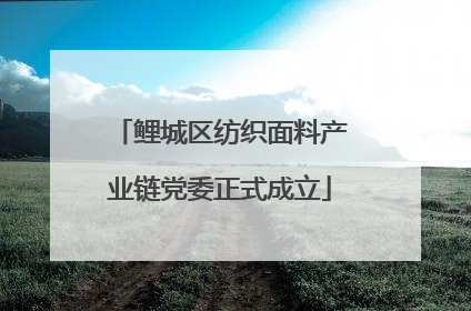鲤城区纺织面料产业链党委正式成立