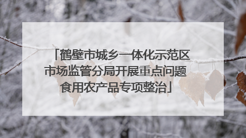 鹤壁市城乡一体化示范区市场监管分局开展重点问题食用农产品专项整治