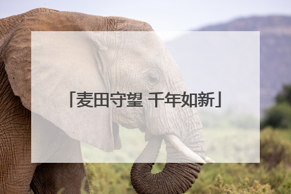 麦田守望 千年如新