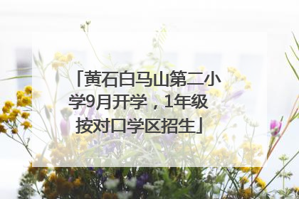 黄石白马山第二小学9月开学，1年级按对口学区招生