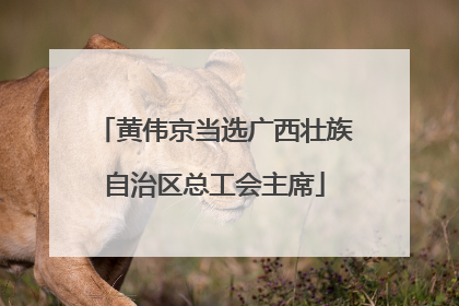 黄伟京当选广西壮族自治区总工会主席