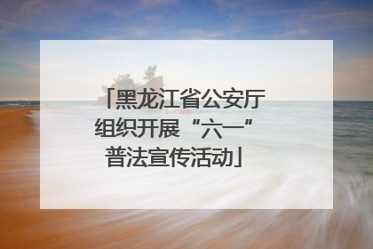 黑龙江省公安厅组织开展“六一”普法宣传活动