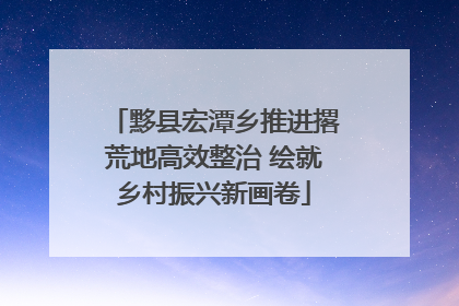 黟县宏潭乡推进撂荒地高效整治 绘就乡村振兴新画卷