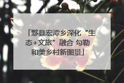 黟县宏潭乡深化“生态+文旅”融合 勾勒和美乡村新图景