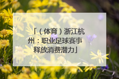 （体育）浙江杭州：职业足球赛事释放消费潜力