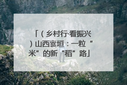 （乡村行·看振兴）山西襄垣：一粒“米”的新“稻”路
