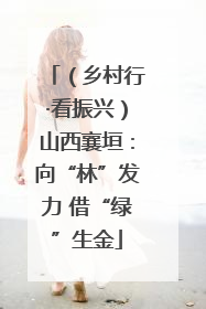 （乡村行·看振兴）山西襄垣：向“林”发力 借“绿”生金