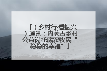 （乡村行·看振兴）通讯：内蒙古乡村公益岗托底农牧民“稳稳的幸福”