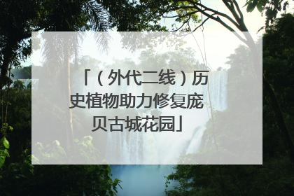 （外代二线）历史植物助力修复庞贝古城花园