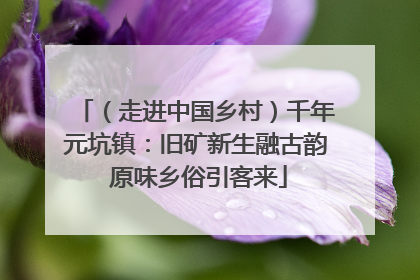 （走进中国乡村）千年元坑镇：旧矿新生融古韵 原味乡俗引客来