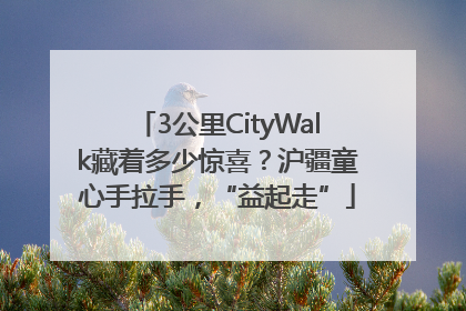 3公里CityWalk藏着多少惊喜？沪疆童心手拉手，“益起走”
