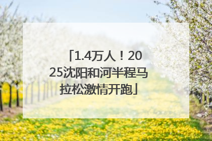 1.4万人！2025沈阳和河半程马拉松激情开跑