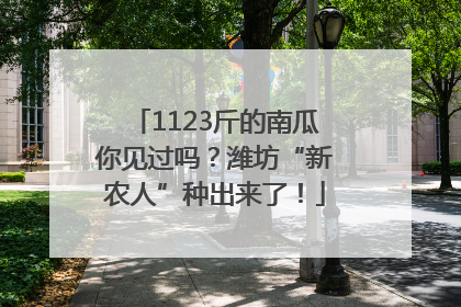 1123斤的南瓜你见过吗？潍坊“新农人”种出来了！