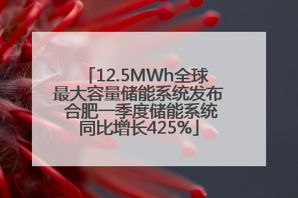 12.5MWh全球最大容量储能系统发布 合肥一季度储能系统同比增长425%