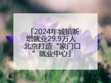 2024年城镇新增就业29.9万人 北京打造“家门口”就业中心