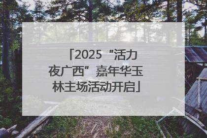 2025“活力夜广西”嘉年华玉林主场活动开启