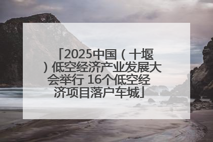 2025中国（十堰）低空经济产业发展大会举行 16个低空经济项目落户车城