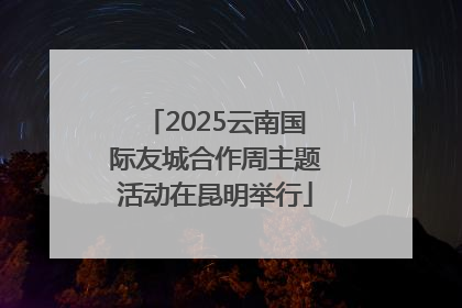 2025云南国际友城合作周主题活动在昆明举行