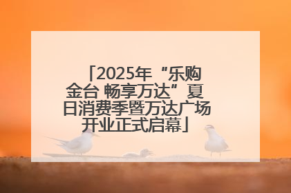 2025年“乐购金台 畅享万达”夏日消费季暨万达广场开业正式启幕