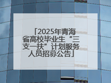 2025年青海省高校毕业生“三支一扶”计划服务人员招募公告