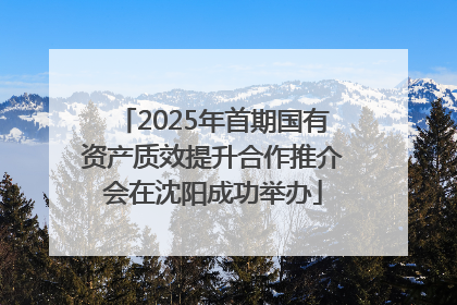 2025年首期国有资产质效提升合作推介会在沈阳成功举办
