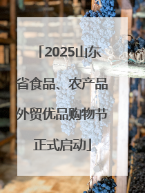 2025山东省食品、农产品外贸优品购物节正式启动