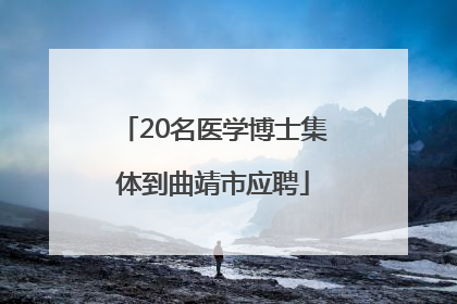 20名医学博士集体到曲靖市应聘