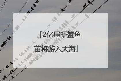 2亿尾虾蟹鱼苗将游入大海