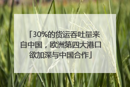 30%的货运吞吐量来自中国，欧洲第四大港口欲加深与中国合作