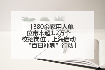 380余家用人单位带来超1.2万个校招岗位，上海启动“百日冲刺”行动