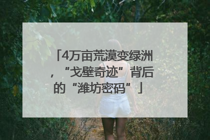4万亩荒漠变绿洲，“戈壁奇迹”背后的“潍坊密码”