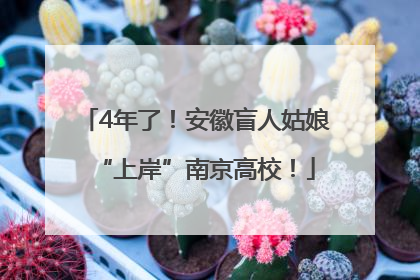 4年了！安徽盲人姑娘“上岸”南京高校！