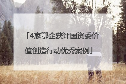 4家鄂企获评国资委价值创造行动优秀案例