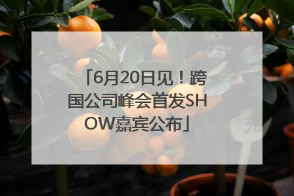 6月20日见！跨国公司峰会首发SHOW嘉宾公布