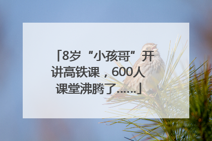 8岁“小孩哥”开讲高铁课，600人课堂沸腾了……