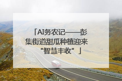 AI务农记——彭集街道甜瓜种植迎来“智慧丰收”