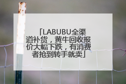 LABUBU全渠道补货，黄牛回收报价大幅下跌，有消费者抢到转手就卖