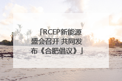 RCEP新能源盛会召开 共同发布《合肥倡议》